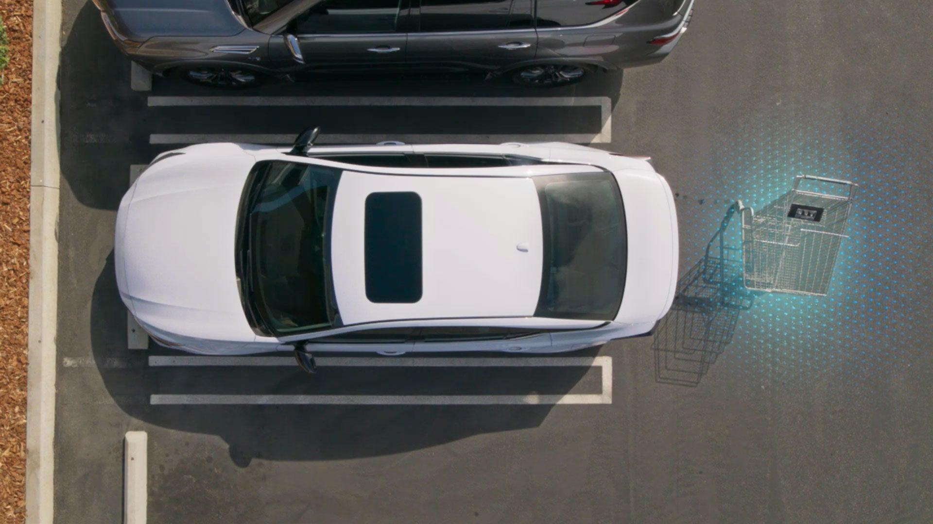 2026 Nissan Altima | Nissan of Cookeville in Cookeville, TN